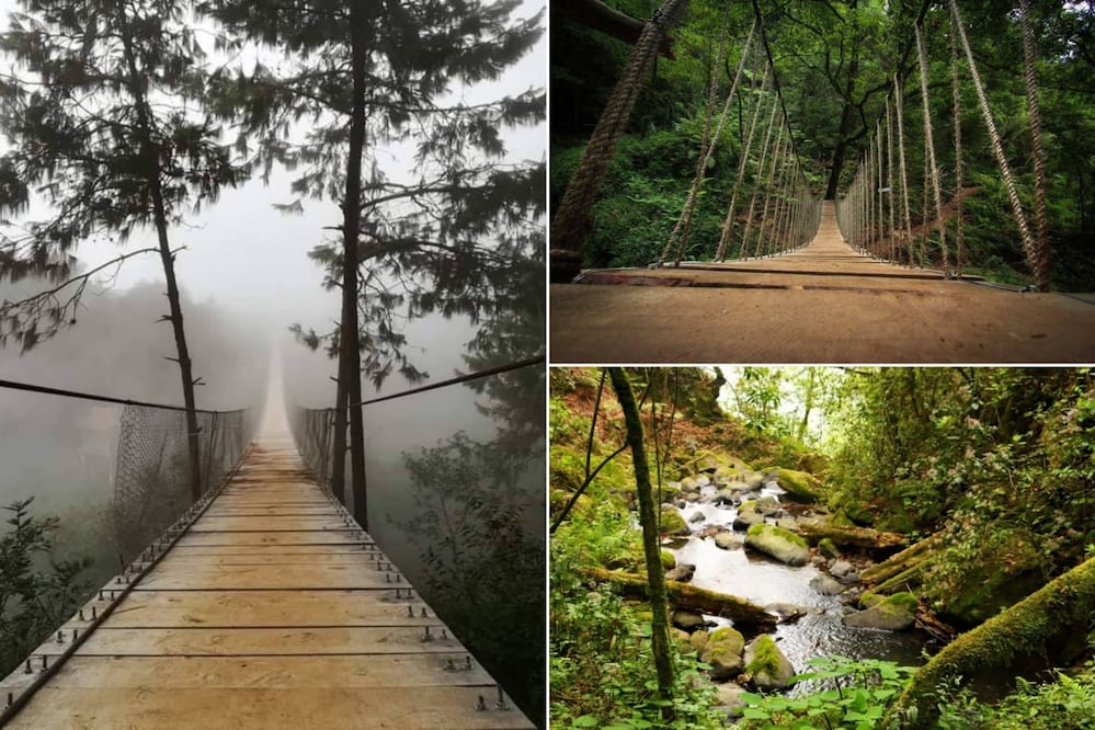 El puente colgante atraviesa el bosque y forma parte de un recorrido entre cascadas y senderos | Foto: Cascadas paraiso