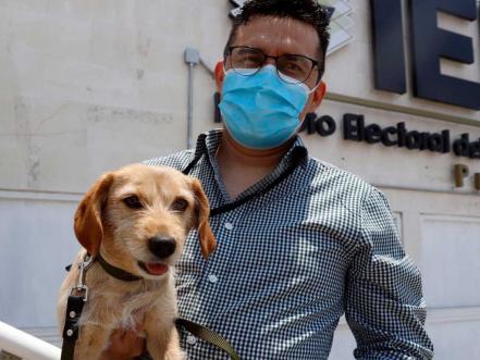 ¿Qué ha sido de Votito, el perro analista del Instituto Electoral de Puebla?
