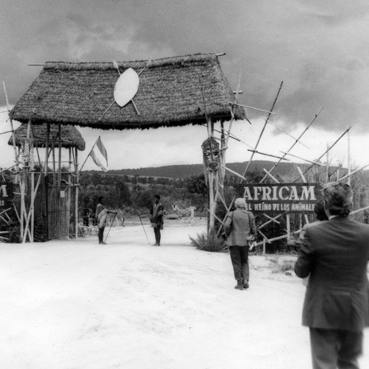El parque de conservación de vida silvestre más antiguo de Puebla se fundó en los 70 | Foto: Africam Safari