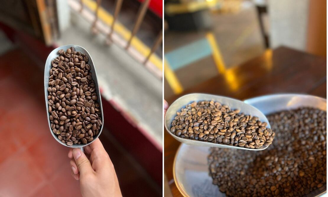 Hay una amplia variedad de marcas de café debido a su gran demanda / Foto: Juan Humberto Cuauhtle Andrade