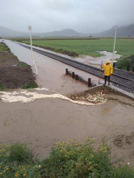 Protección Civil y Bomberos retiran árboles sobre carreteras de Puebla