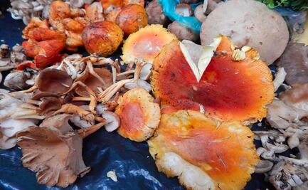 La parada de los hongos en Puebla, un lugar para comelones