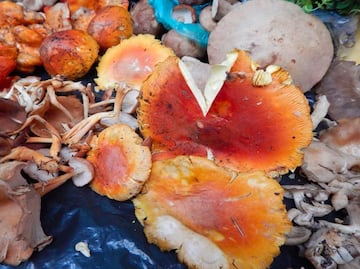 La parada de los hongos en Puebla, un lugar para comelones