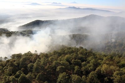 Hay dos detenidos por provocar el incendio forestal de Libres