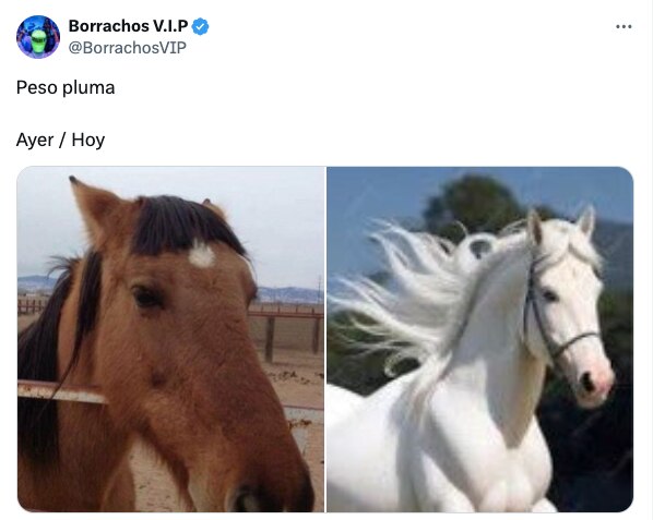 Foto: X @BorrachosVIP