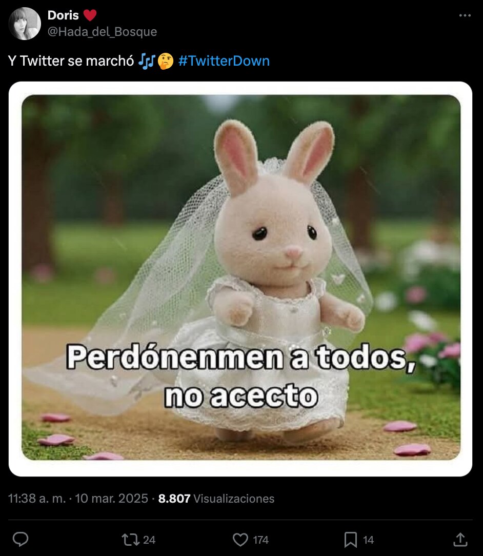 Foto: Redes sociales