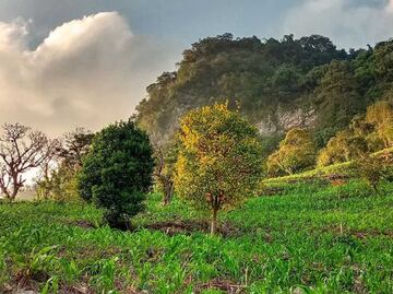 4 razones por las que debes visitar Huitzilan de Serdán, el lugar de los colibríes