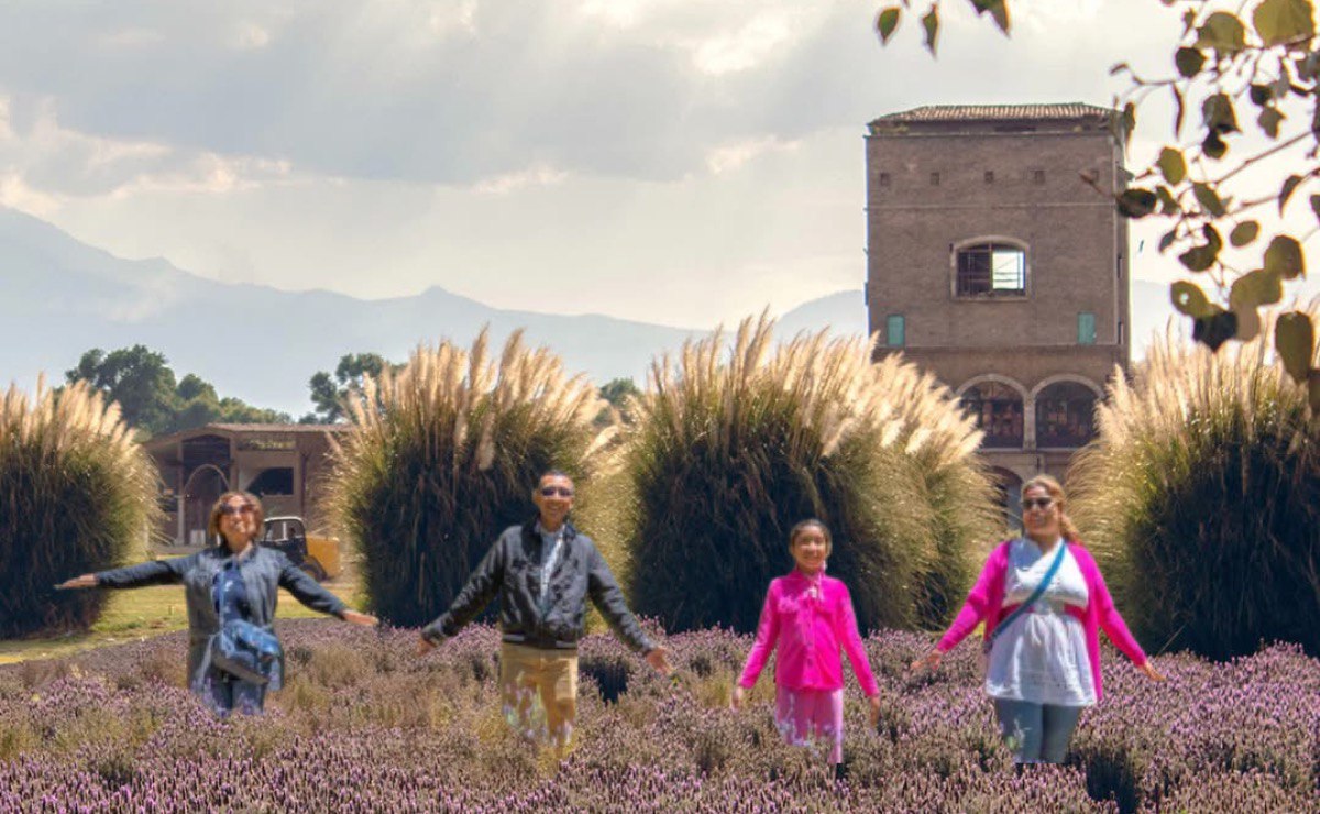Foto: Rancho San Martín Lavanda/Val’Quirico