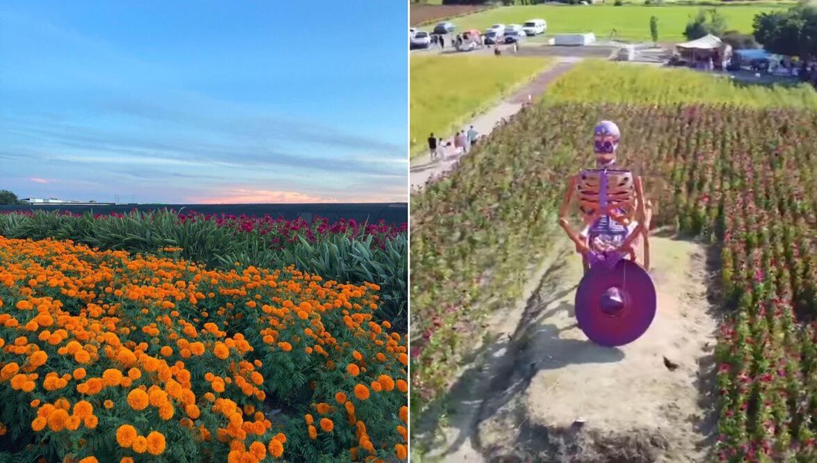 La Feria de la Flor de Muertos se realizará en la junta auxiliar de Santo Domingo Atoyatempan | Foto: Captura de video