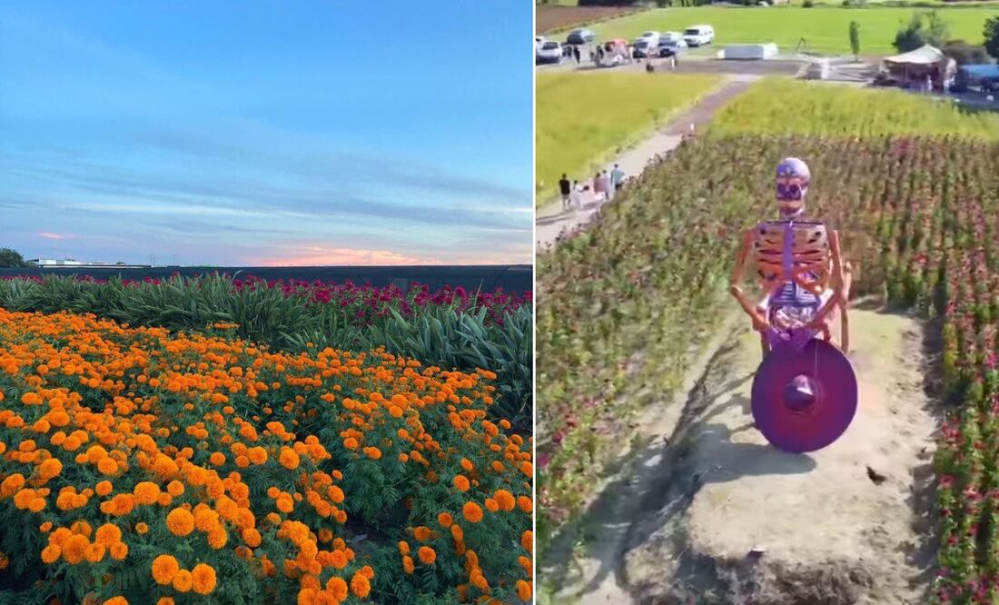 La Feria de la Flor de Muertos se realizará en la junta auxiliar de Santo Domingo Atoyatempan | Foto: Captura de video