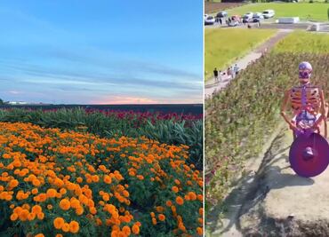 En este Pueblo Mágico habrá Feria de la Flor de Muertos
