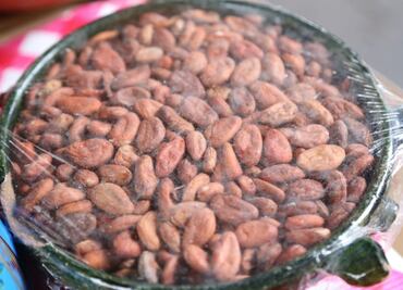 Qué es el cacao ceremonial y por qué es mejor para la salud