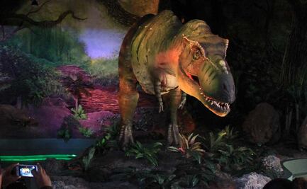 Museo de la Evolución de Tehuacán reabrirá sus puertas en marzo