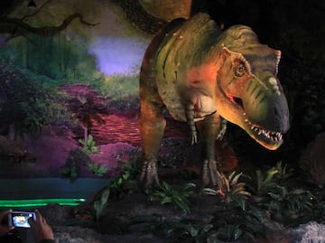 Museo de la Evolución de Tehuacán reabrirá sus puertas en marzo