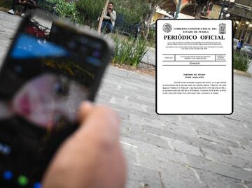 Este sábado 14 de junio entra en vigor ley que castiga con prisión los insultos en redes sociales