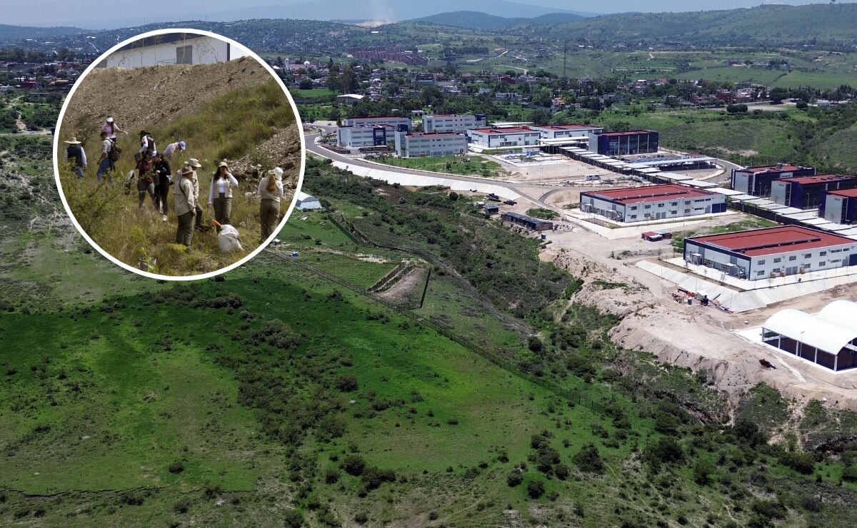 Imparte Herpetario de la FCB capacitación para manejo de organismos vivos en CU2