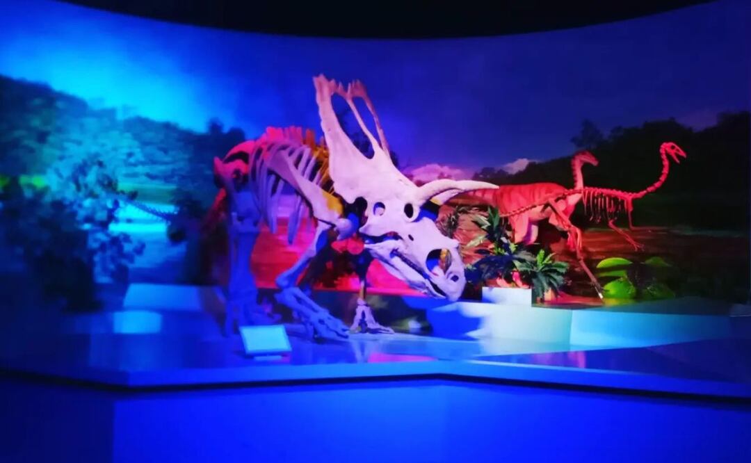 Estos museos son los mejores de todo Puebla | Foto: Instagram miguelbalderas243