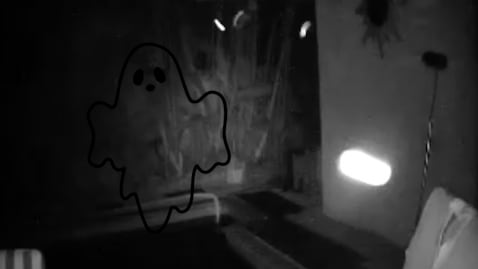 ¿Miedo? Esfera de luz se convierte en dos niños en una zona boscosa de México