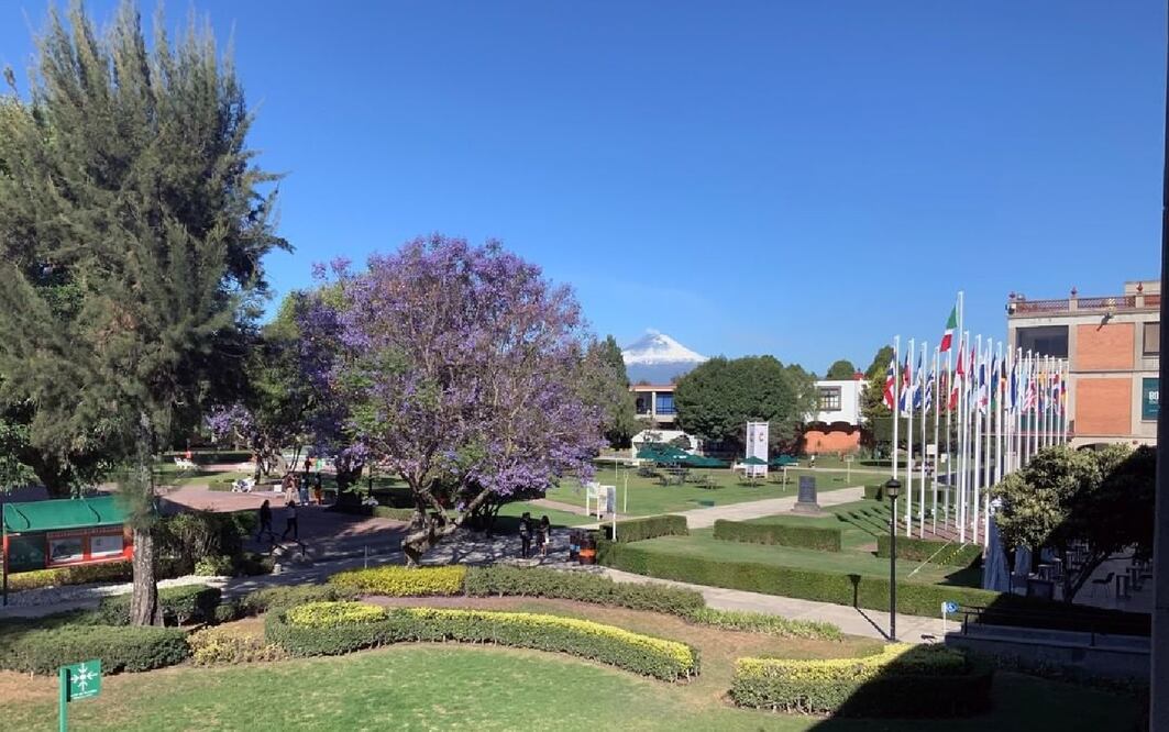 El tour inculye un recorrido por el campus. Foto: UDLAP / Instagram