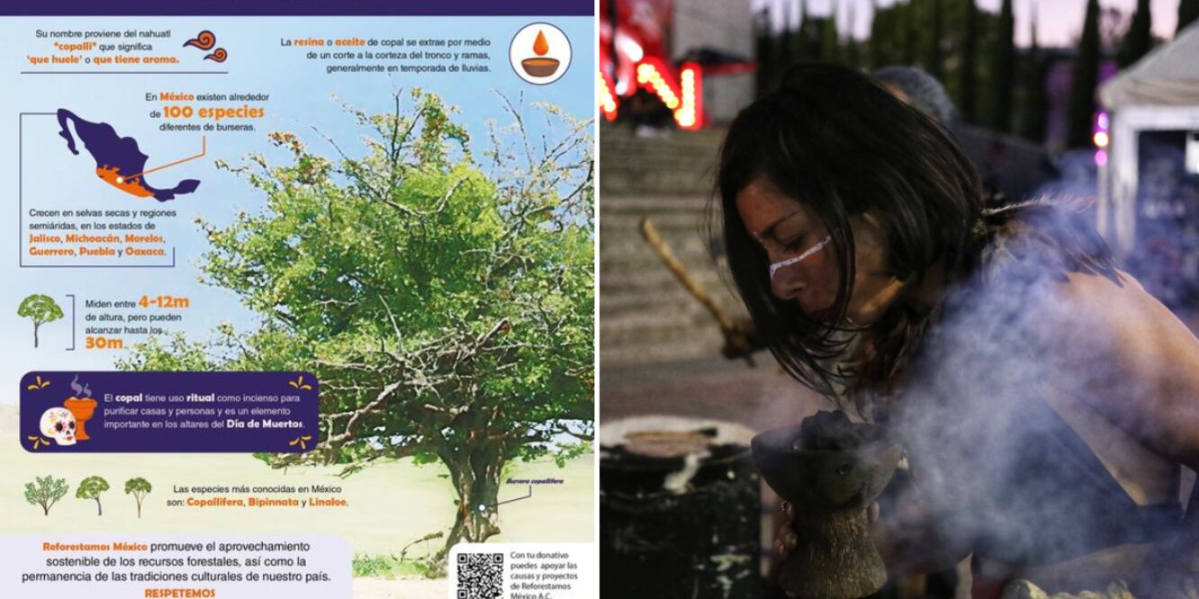 El copal y su uso en ceremonias / Foto: EsImagen, Reforestamos México AC