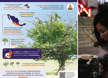 ¿Qué es el copal y cómo se extrae en Puebla?