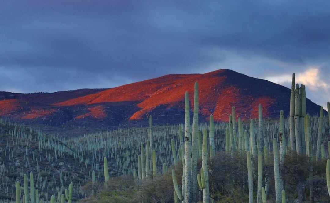Zapotitlán Salinas ofrece grandes atractivos. | Foto: Instagram mexcanrealty