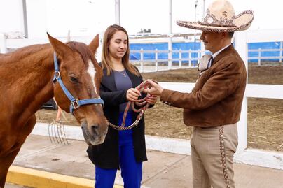 SMDIF Puebla entrega dos equinos a fundación Corcel para su retiro