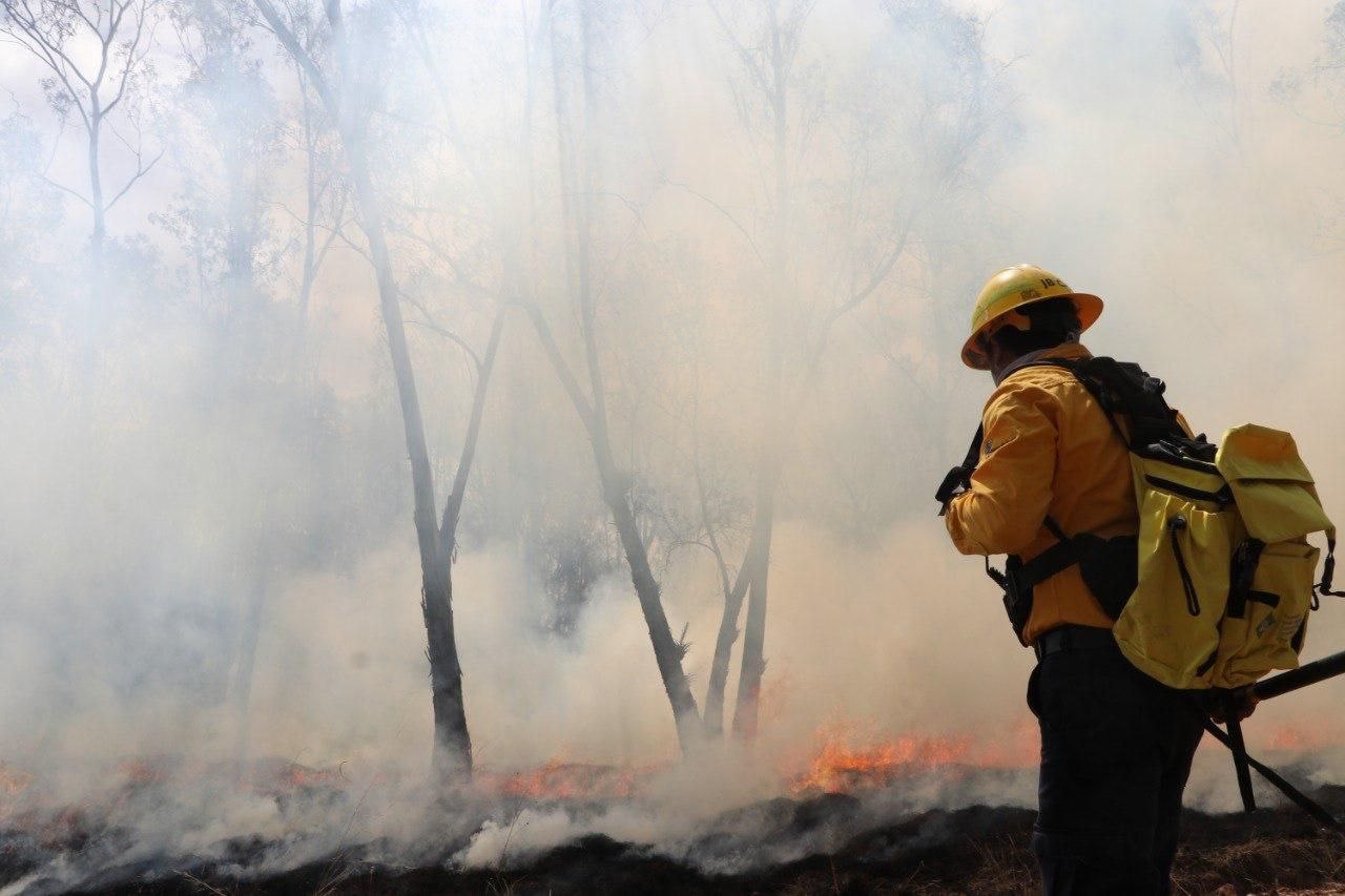 Combaten incendios en Puebla, van 222 suburbanos y 39 forestales en 2025