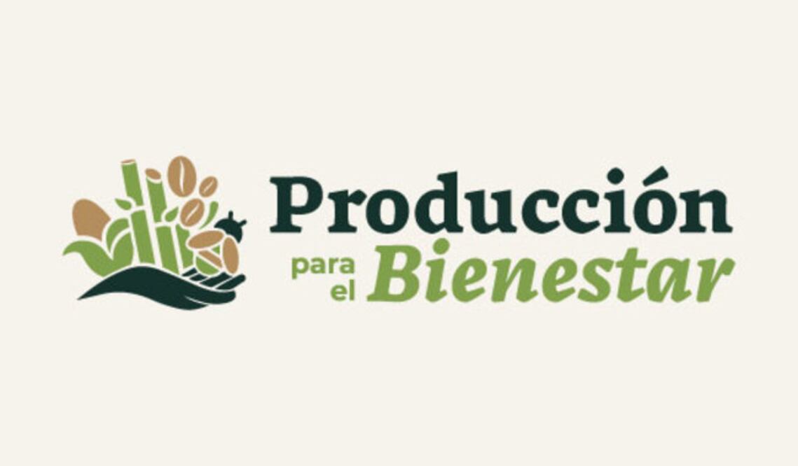 El programa Producción para el Bienestar otorga un apoyo económico directo a los productores para que no abandonen el campo mexicano y para promover el autoconsumo en la siembra de granos básicos.
Foto: Producción El Universal Puebla