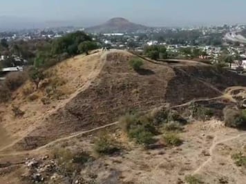 Alistan santuario de tortugas en Puebla