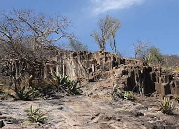 Prismas basálticos, un tesoro oculto de Zapotitlán Salinas