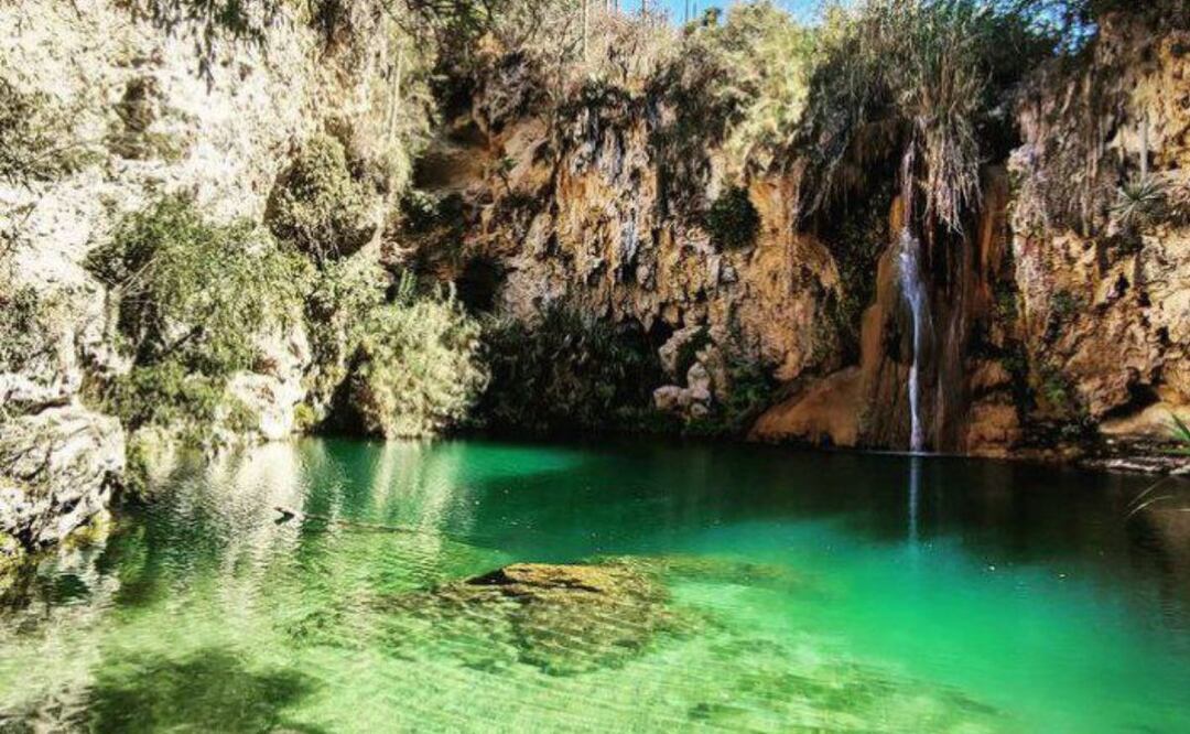 En esta poza hay peces de colores | Foto: Instagram wers always enjoying life