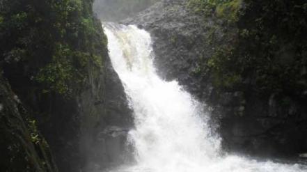 5 cascadas en Puebla que no te puedes perder estas vacaciones