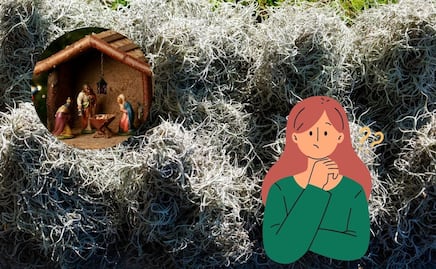 De dónde proviene el heno que se usa en los nacimientos