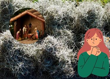 De dónde proviene el heno que se usa en los nacimientos