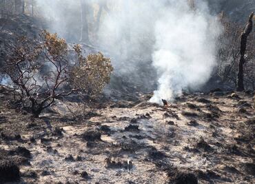 Evacuan a habitantes por reactivación de incendio en Tehuatzingo, Puebla