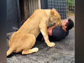 Black Jaguar-White Tiger: Hijo de Adolfo Karam tenía una leona en el "santuario"