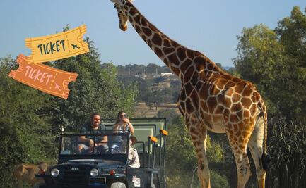 ¿Cuánto cuesta la entrada a Africam Safari?