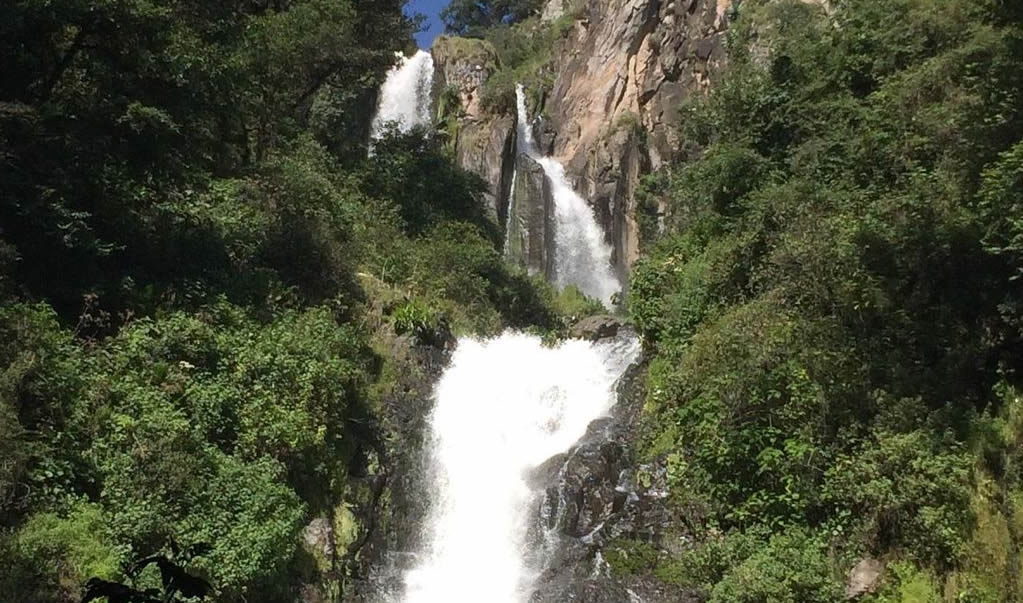 Las 4 cascadas principales para hacer turismo ecológico en la Sierra Norte de Puebla