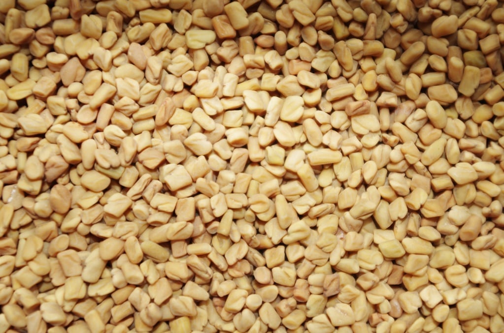Al consumirlos de manera regular, podemos aprovechar las propiedades de estos superalimentos para mantener una buena salud y prevenir diversas enfermedades.

Foto: Producción El Universal Puebla