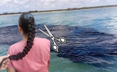 ¿Cómo donar cabello en Puebla para limpiar el Golfo de México? Fechas, horarios y requisitos