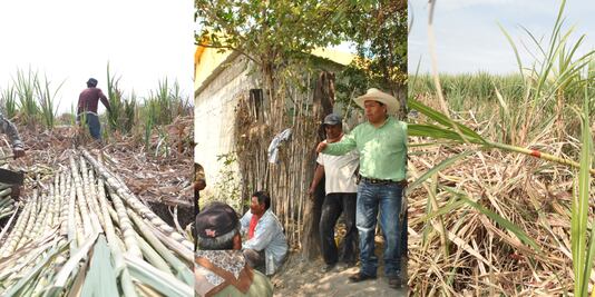 Roban y trafican con agua en Coxcatlán, denuncian productores de caña de azúcar