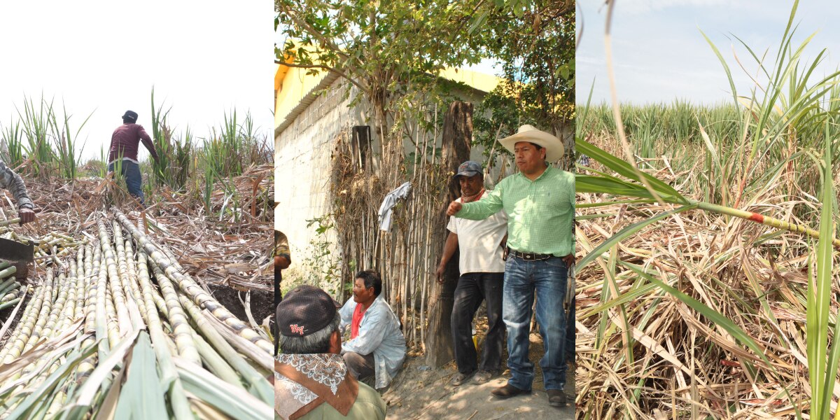 Roban y trafican con agua en Coxcatlán, denuncian productores de caña de azúcar