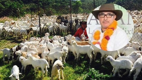 ¿Quién es el dueño de la hacienda La Carlota en Tehuacán?