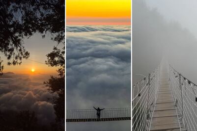 Así luce el misterioso bosque que "desaparece" en un Pueblo Mágico de Puebla