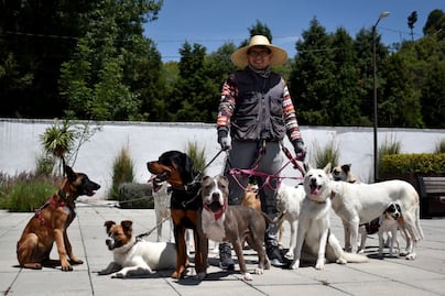 ¿Dónde ir con mi perro en Puebla? Te compartimos estas recomendaciones