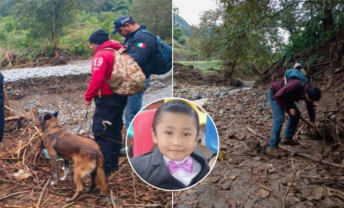 Las tareas se desarrollan por tierra, aire y en los afluentes de ríos | Foto: Gobierno del Estado