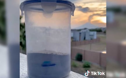 Poblana se viraliza en Tiktok por experimentar con la ceniza del volcán Popocatépetl