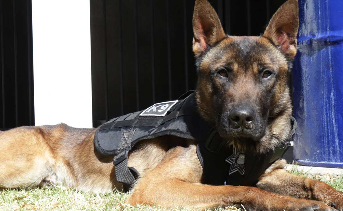 Foto: Agencia Es Imagen para El Universal Puebla