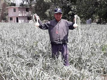 Fallece edil electo de Totoltepec de Guerrero por Covid-19